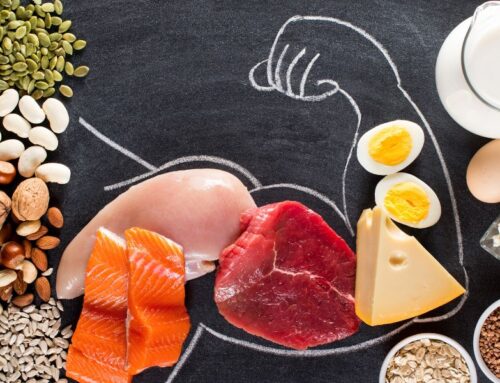 Part 6: Muscle – Your Greatest Asset In The Weight Loss Journey